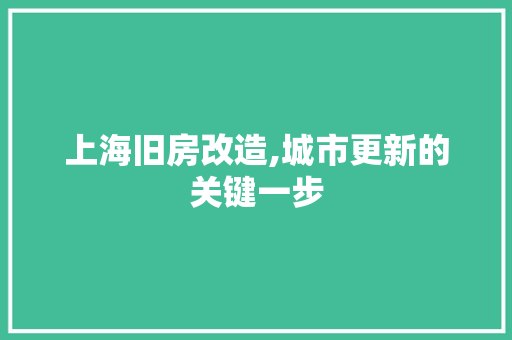 上海旧房改造,城市更新的关键一步 装修材料