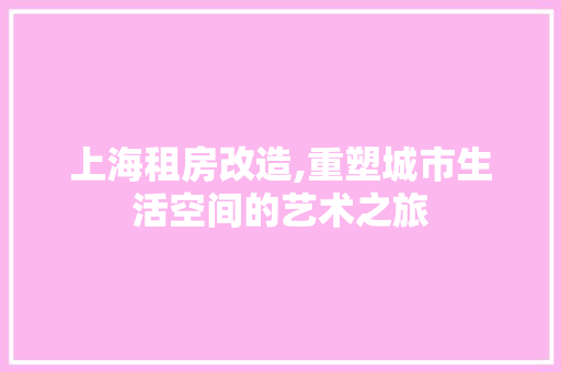 上海租房改造,重塑城市生活空间的艺术之旅 隔断设计