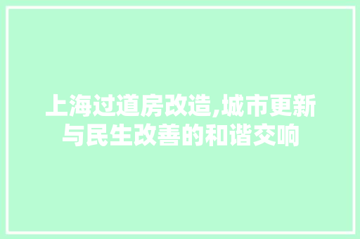 上海过道房改造,城市更新与民生改善的和谐交响