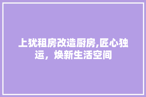 上犹租房改造厨房,匠心独运，焕新生活空间 隔断设计