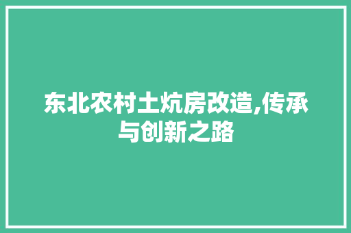东北农村土炕房改造,传承与创新之路