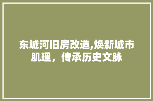 东城河旧房改造,焕新城市肌理，传承历史文脉