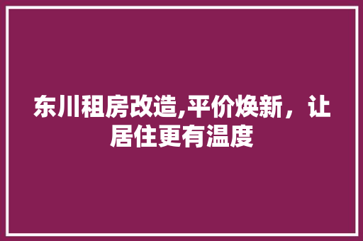 东川租房改造,平价焕新，让居住更有温度 建筑设计