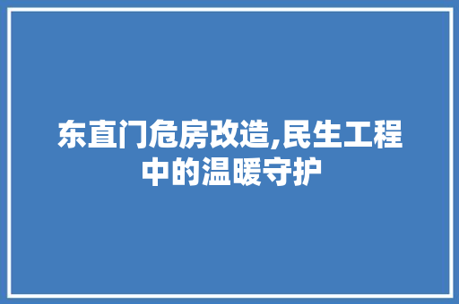 东直门危房改造,民生工程中的温暖守护