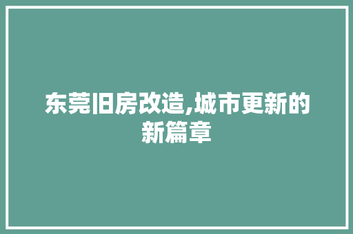 东莞旧房改造,城市更新的新篇章