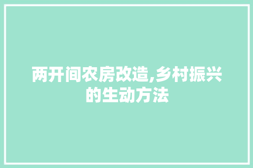 两开间农房改造,乡村振兴的生动方法 墙面装饰