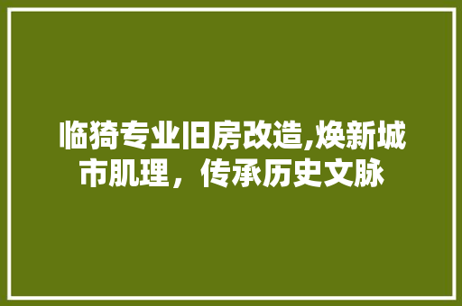 临猗专业旧房改造,焕新城市肌理，传承历史文脉 装修攻略
