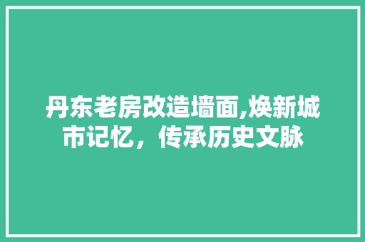 丹东老房改造墙面,焕新城市记忆，传承历史文脉 装修攻略