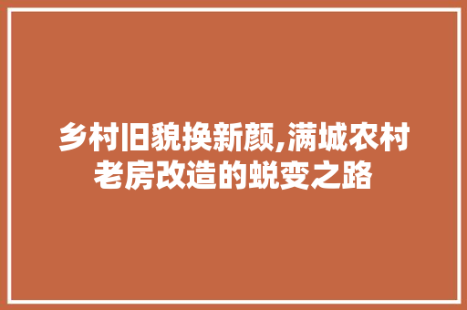 乡村旧貌换新颜,满城农村老房改造的蜕变之路 装修材料