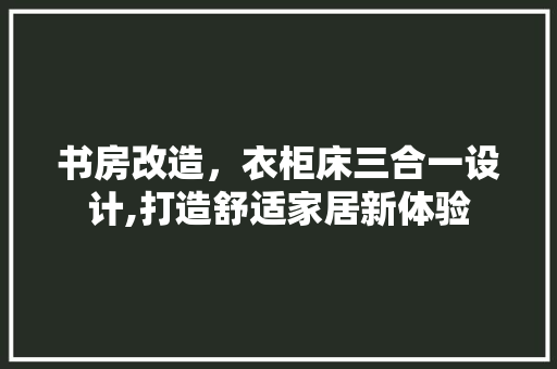 书房改造，衣柜床三合一设计,打造舒适家居新体验 隔断设计