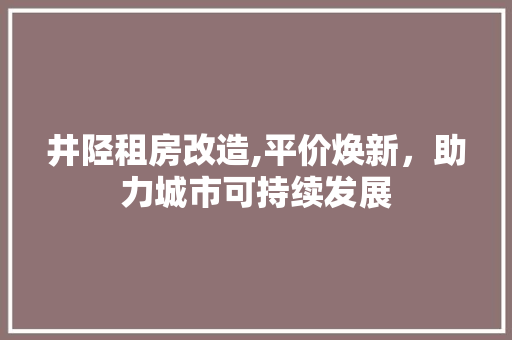 井陉租房改造,平价焕新，助力城市可持续发展 装修攻略