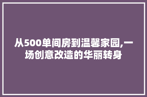 从500单间房到温馨家园,一场创意改造的华丽转身 墙面装饰
