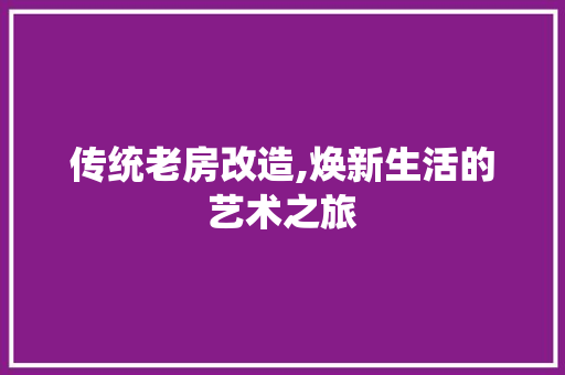 传统老房改造,焕新生活的艺术之旅 建筑设计