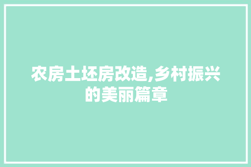 农房土坯房改造,乡村振兴的美丽篇章