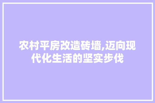 农村平房改造砖墙,迈向现代化生活的坚实步伐 装修材料