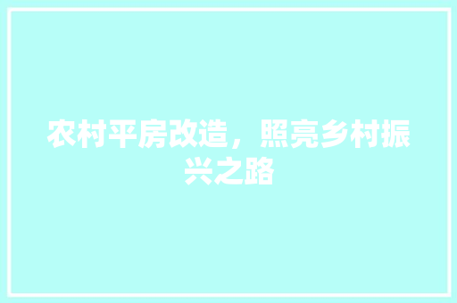 农村平房改造，照亮乡村振兴之路