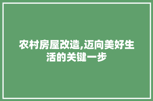 农村房屋改造,迈向美好生活的关键一步 建筑设计