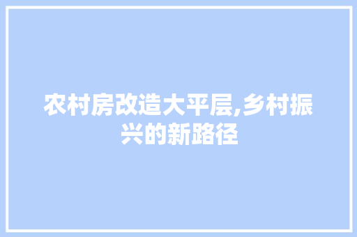 农村房改造大平层,乡村振兴的新路径 建筑设计