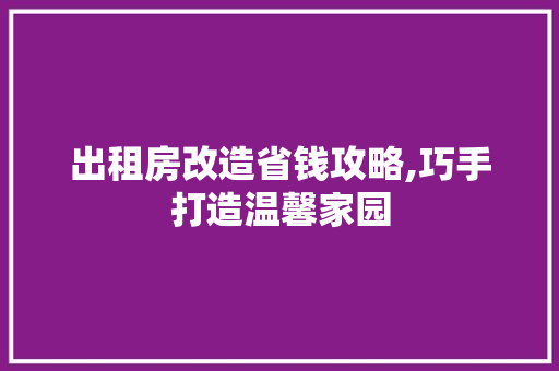 出租房改造省钱攻略,巧手打造温馨家园