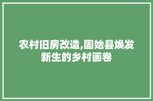 农村旧房改造,固始县焕发新生的乡村画卷 隔断设计