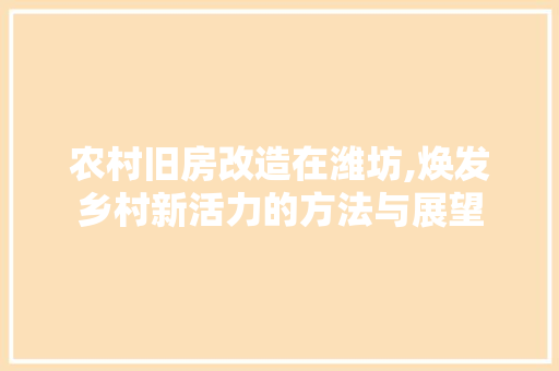 农村旧房改造在潍坊,焕发乡村新活力的方法与展望 地面装修