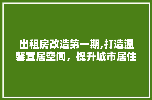 出租房改造第一期,打造温馨宜居空间，提升城市居住品质 景观设计