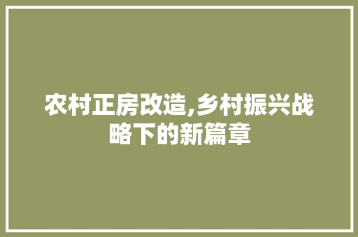 农村正房改造,乡村振兴战略下的新篇章 墙面装饰