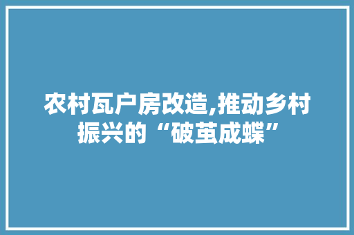 农村瓦户房改造,推动乡村振兴的“破茧成蝶” 装修攻略