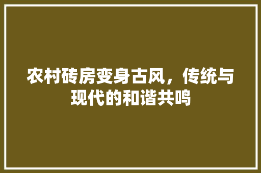 农村砖房变身古风，传统与现代的和谐共鸣 门窗装修