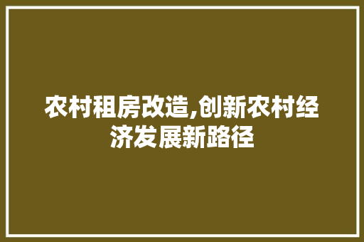 农村租房改造,创新农村经济发展新路径 隔断设计
