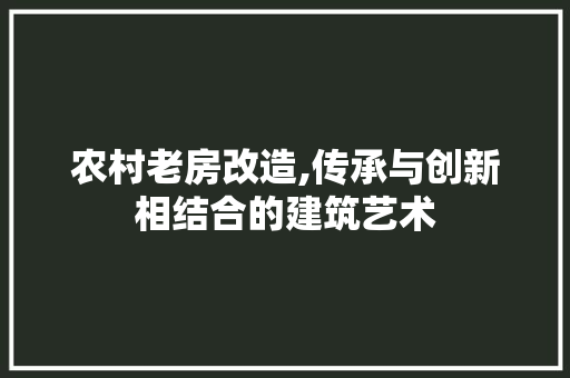 农村老房改造,传承与创新相结合的建筑艺术 庭院装修