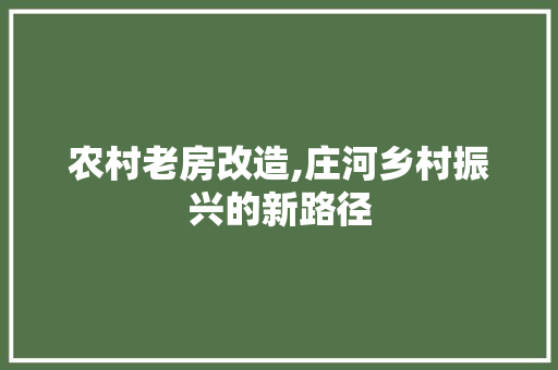 农村老房改造,庄河乡村振兴的新路径