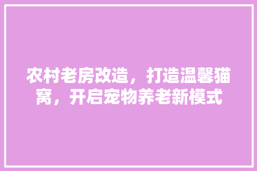 农村老房改造，打造温馨猫窝，开启宠物养老新模式 墙面装饰