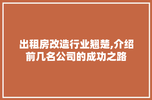 出租房改造行业翘楚,介绍前几名公司的成功之路