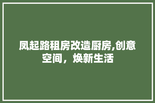 凤起路租房改造厨房,创意空间,焕新生活 景观设计 凤起路租房改造厨房,创意空间,焕新生活 景观设计