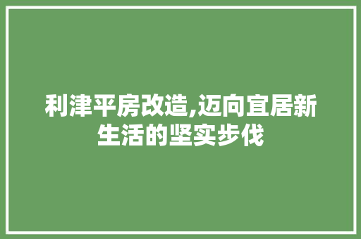 利津平房改造,迈向宜居新生活的坚实步伐 装修攻略