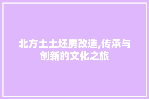 北方土土坯房改造,传承与创新的文化之旅 门窗装修 北方土土坯房改造,传承与创新的文化之旅 门窗装修