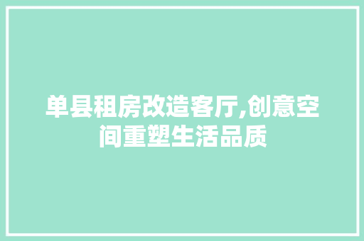 单县租房改造客厅,创意空间重塑生活品质