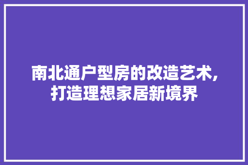 南北通户型房的改造艺术,打造理想家居新境界