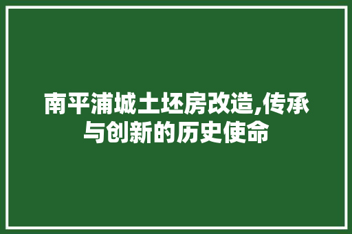 南平浦城土坯房改造,传承与创新的历史使命 庭院装修