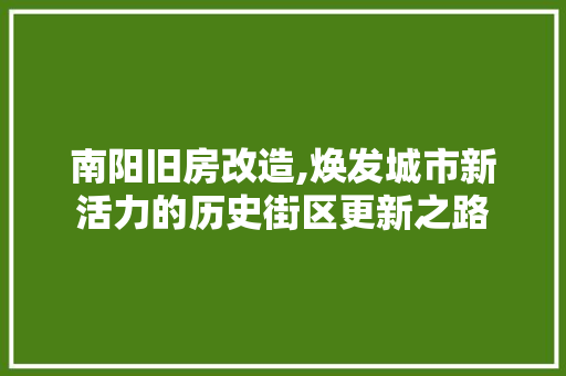 南阳旧房改造,焕发城市新活力的历史街区更新之路 装修攻略