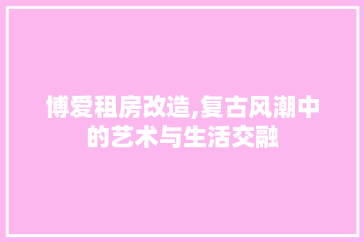博爱租房改造,复古风潮中的艺术与生活交融