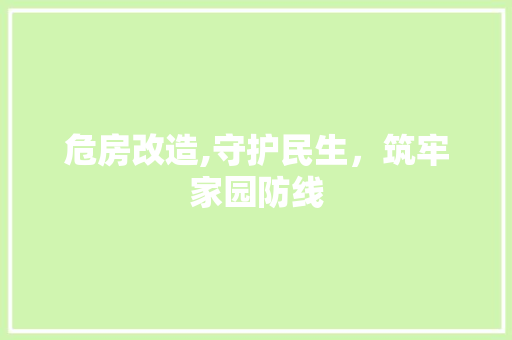 危房改造,守护民生，筑牢家园防线 装修材料