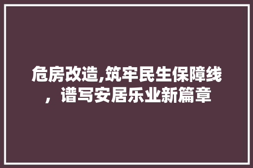 危房改造,筑牢民生保障线，谱写安居乐业新篇章 隔断设计