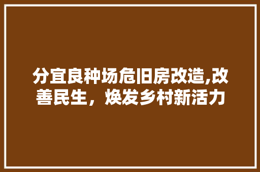分宜良种场危旧房改造,改善民生，焕发乡村新活力 隔断设计