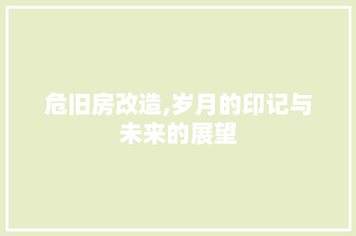 危旧房改造,岁月的印记与未来的展望