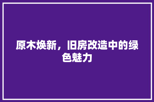 原木焕新，旧房改造中的绿色魅力
