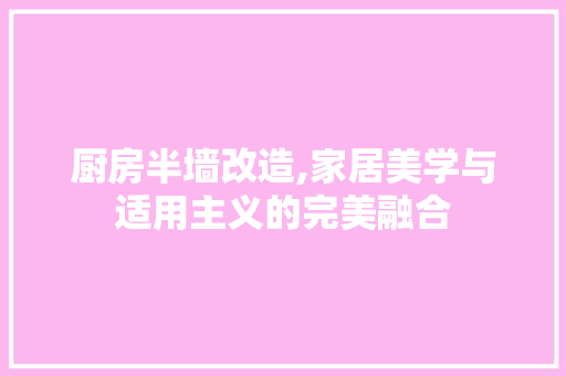 厨房半墙改造,家居美学与适用主义的完美融合