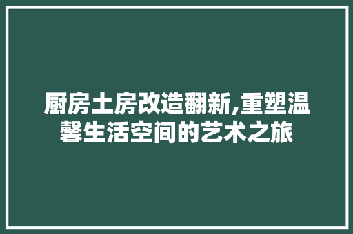 厨房土房改造翻新,重塑温馨生活空间的艺术之旅 景观设计