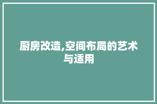 厨房改造,空间布局的艺术与适用